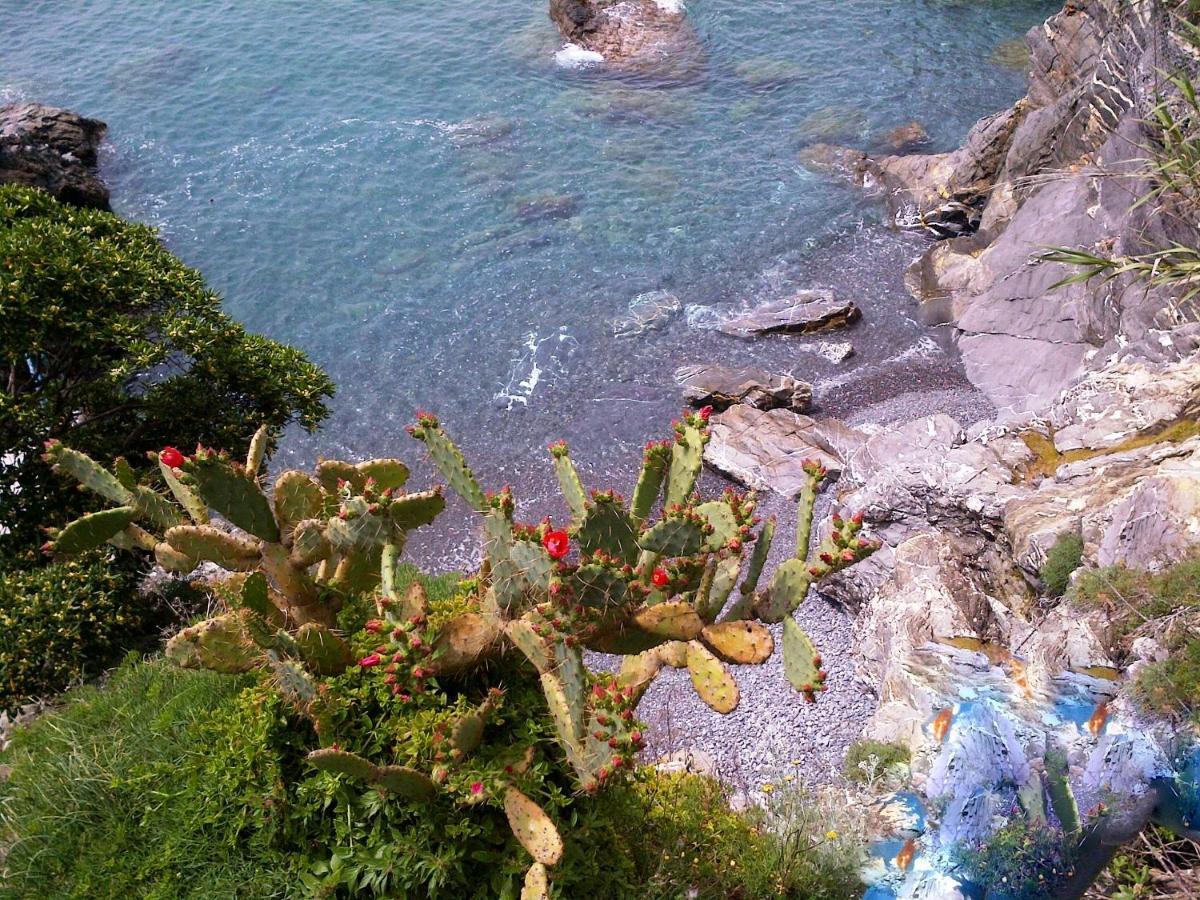 Le Case Di Recco By Holiday World 部屋 写真