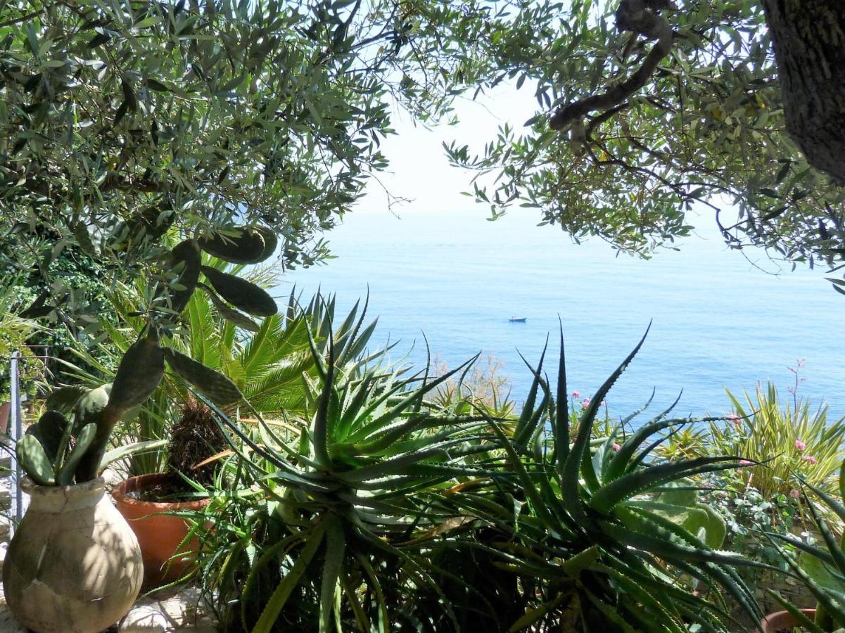 Le Case Di Recco By Holiday World エクステリア 写真
